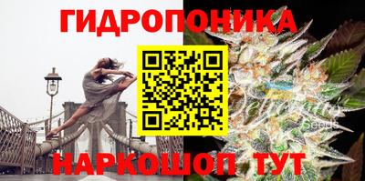 эйфоретик Краснокаменск