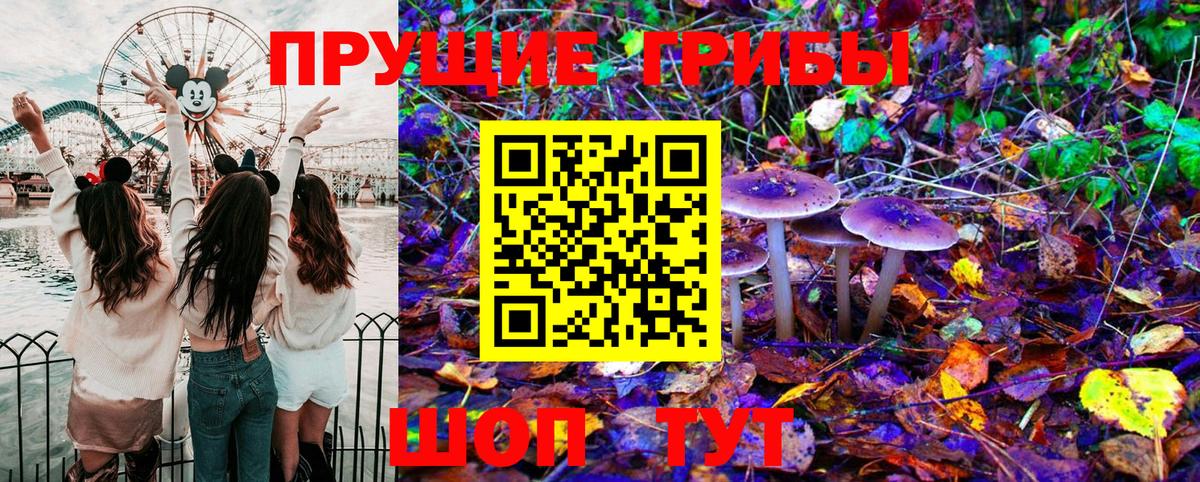 Галлюциногенные грибы Psilocybe  Вход с VPN  Ирбит 